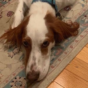 Meet your Posher, Viveka